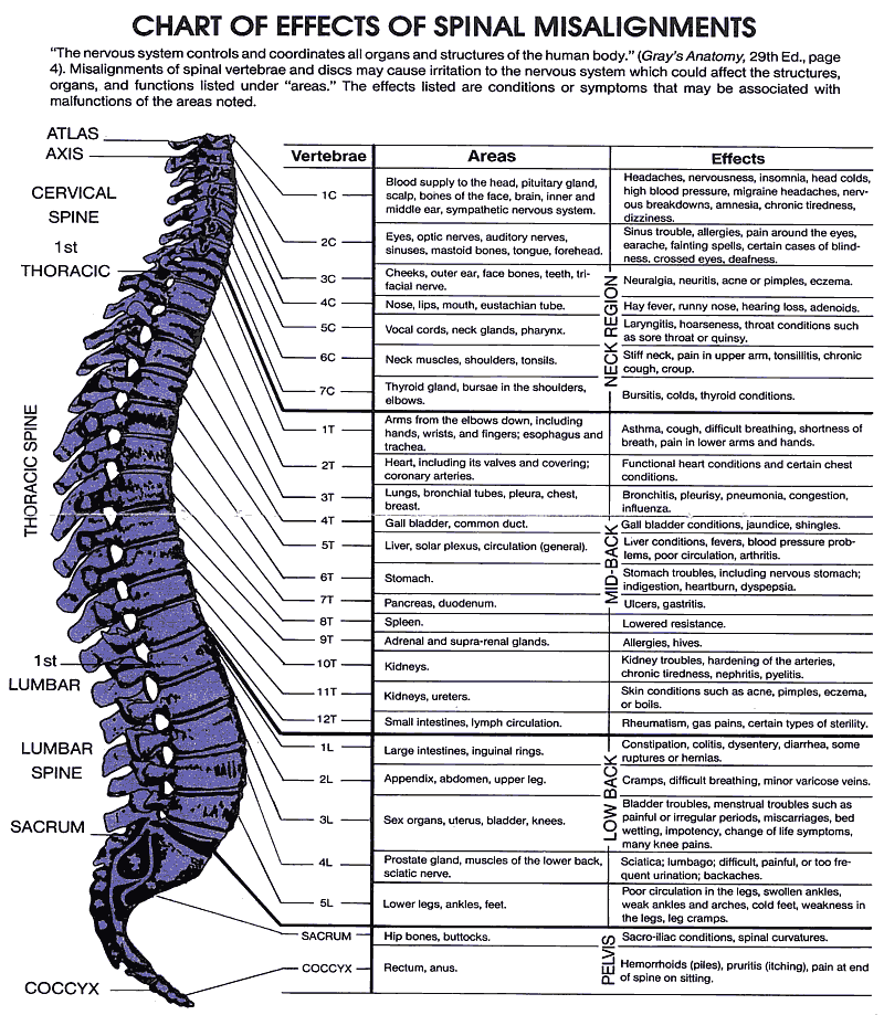 neck pain | Lwchiropractic's Blog